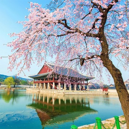 Những Điều Không Nên Làm Khi Du Lịch Hàn Quốc Để Có Chuyến Đi Trọn Vẹn