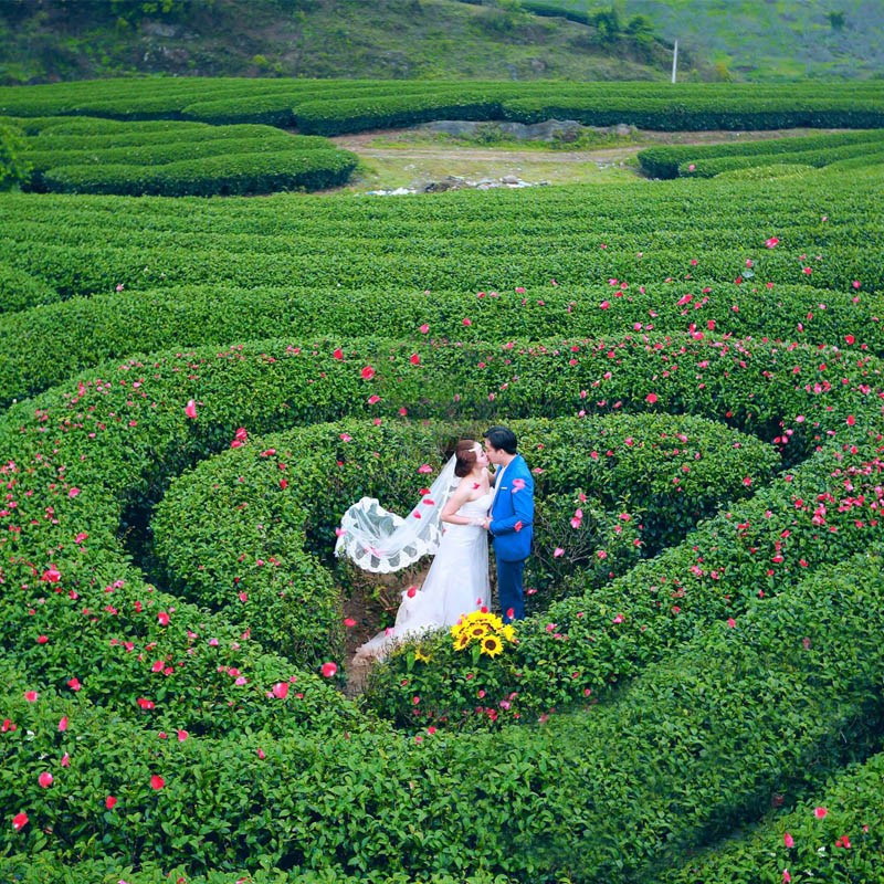 Du Lịch Tây Bắc (Mùa Cải Trắng)