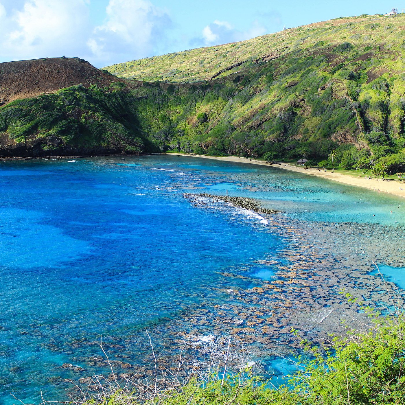 Du Lịch Hawaii Và Những Điều Cần Biết