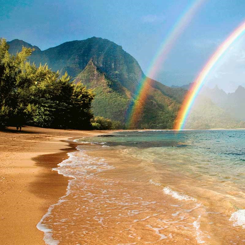 Du Lịch Hawaii Và Những Điều Cần Biết