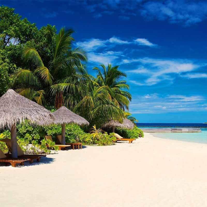 Du Lịch (Chăm Sóc Sức Khỏe) Nha Trang - GM Dốc Lết