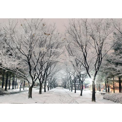 Cùng Trải Nghiệm Mùa Đông Thú Vị Tại Hàn Quốc