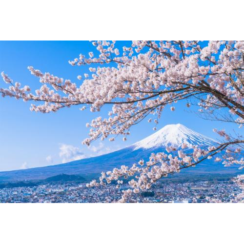 Tokyo – Kamakura - Núi Phú Sĩ - Yokohama – Narita