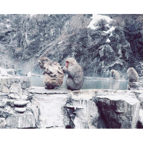 Những Địa Điểm Đẹp Như Trong Cổ Tích Nhất Định Phải Ghé Khi Du Lịch Nhật Bản