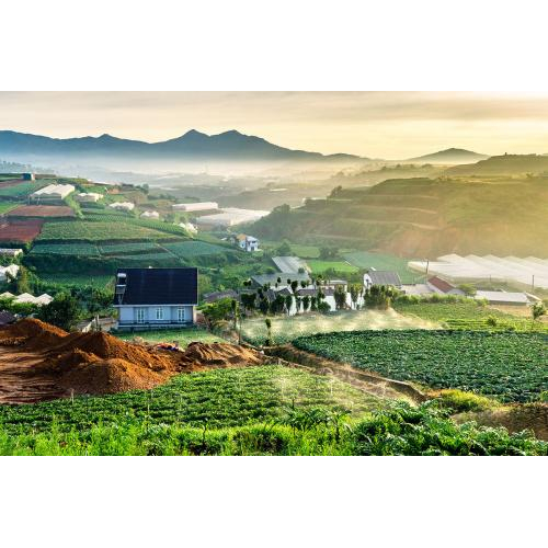 Du Lịch Đà Lạt - Trang Trại Rau & Hoa Đường Hầm Iêu Khắc - Cà Phê Mê Linh - Chùa Linh Ấn