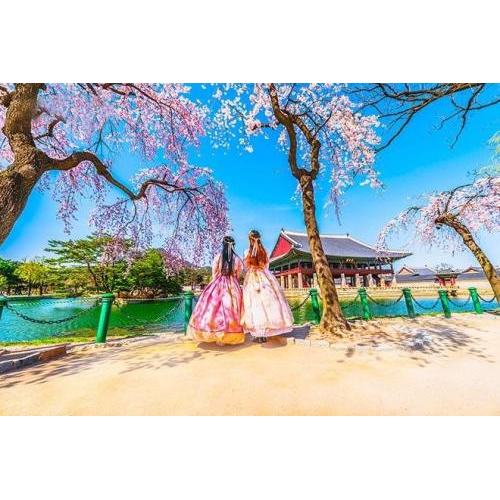 Những Điều Không Nên Làm Khi Du Lịch Hàn Quốc Để Có Chuyến Đi Trọn Vẹn