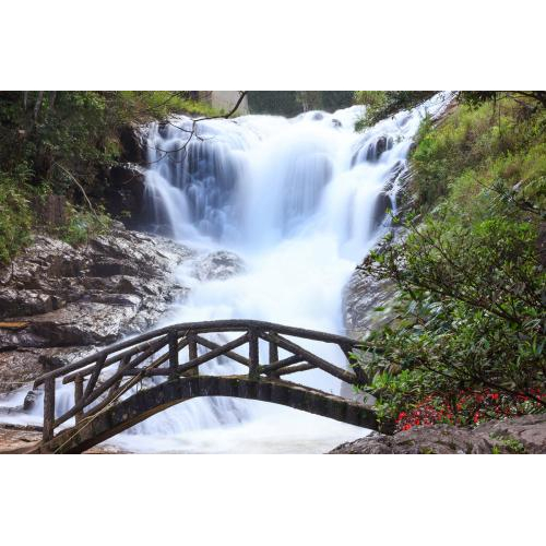 Du Lịch Đà Lạt - Trang Trại Rau & Hoa Đường Hầm Iêu Khắc - Cà Phê Mê Linh - Chùa Linh Ấn