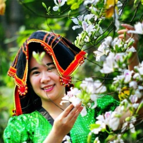 Lễ Hội Hoa Ban Điện Biên