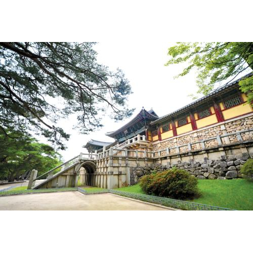 Ngàn Năm Nguyên Bản