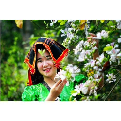 Lễ Hội Hoa Ban Điện Biên