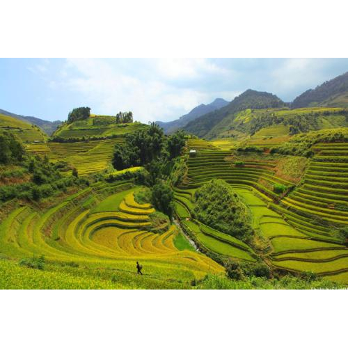 Du Lịch Thanh Hóa- Pù Luông - Suối Cá Thần Cẩm Lương - Du Thuyền Trên Sông Mã