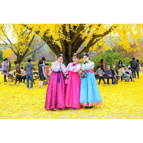 Top 5 Trải Nghiệm Thú Vị Bạn Nên Biết Khi Đến Du Lịch Hàn Quốc Vào Mùa Thu