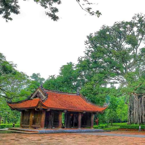 Du Lịch Thanh Hóa - Suối Cá Thần Cẩm Lương - Vườn Thú Safari - Đảo Chè Thanh Chương