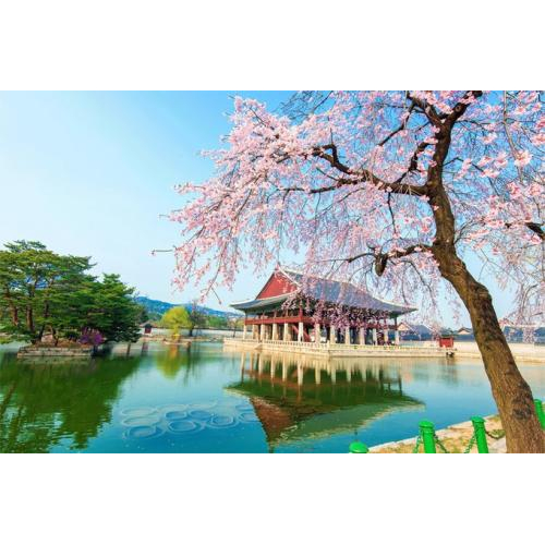 Những Điều Không Nên Làm Khi Du Lịch Hàn Quốc Để Có Chuyến Đi Trọn Vẹn