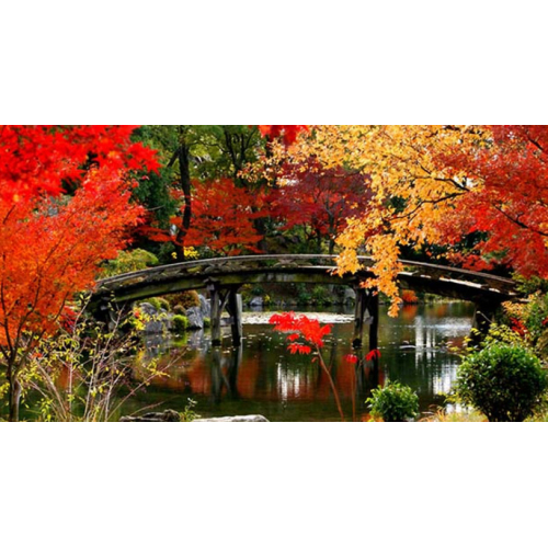 Bạn Nên Du Lịch Nhật Bản Mùa Nào Đẹp Nhất?