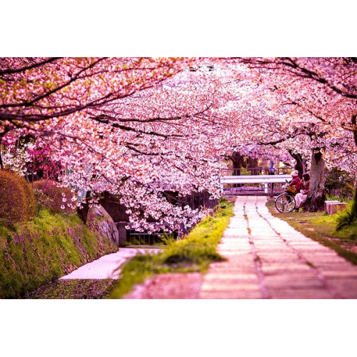 Du Lịch Hàn Quốc Có Gì Hấp Dẫn Mà Ai Cũng Muốn Đến Một Lần?