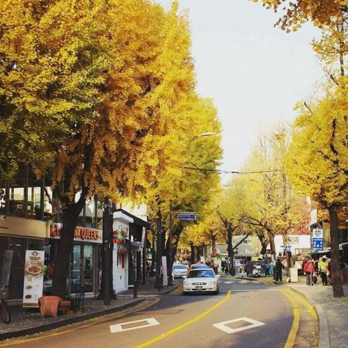 Những Trải Nghiệm Tuyệt Vời Bạn Phải Thử Ngay Và Luôn Khi Tham Gia Tour Đi Hàn Quốc