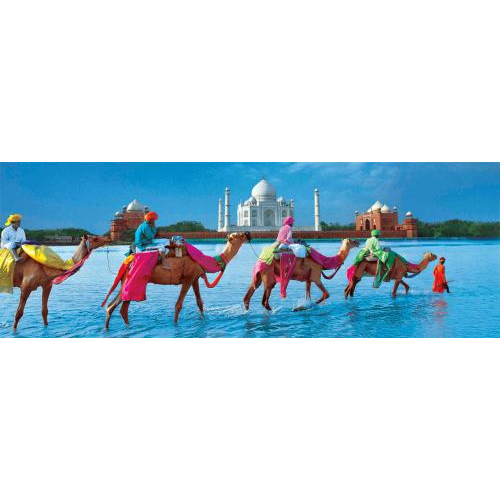 Những Điều Cần Biết Khi Đi Du Lịch Ấn Độ