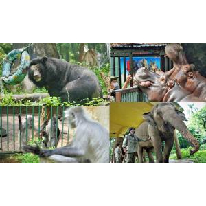 Thảo Cầm Viên Sài Gòn