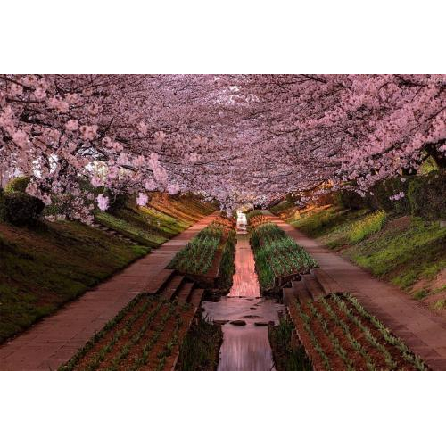 Tokyo – Kamakura - Núi Phú Sĩ - Yokohama – Narita