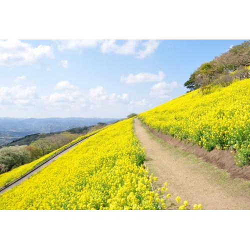 Những Điểm Check-in Quanh Hai Sân Bay Lớn Nhất Nhật Bản