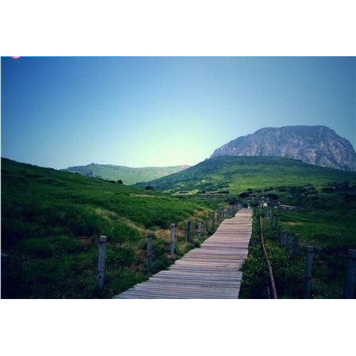 Thiên Đường Nghỉ Dưỡng Tuyệt Vời Cho Khách Du Lịch Tại Đảo Jeju