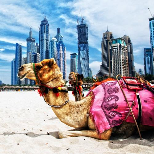 Du Lịch Dubai - Abu Dhabi