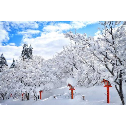 Du Lịch Nhật Bản Trượt Tuyết Fujiten : NARITA – YAMANASHI – TOKYO