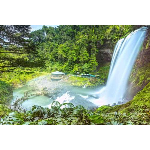 Du Lịch Đà Lạt - Trang Trại Rau & Hoa Đường Hầm Iêu Khắc - Cà Phê Mê Linh - Chùa Linh Ấn