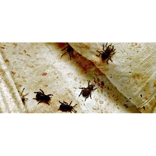 Những Sai Lầm Của Du Khách Khi Vào ở Khách Sạn