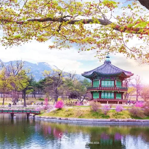 Lịch Khởi Hành Hàn Quốc 2020