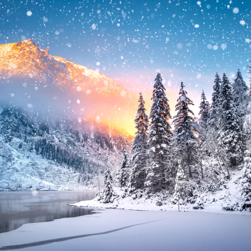 Một Số Lời Khuyên Hữu Ích Cho Chuyến Du Lịch Mùa Đông