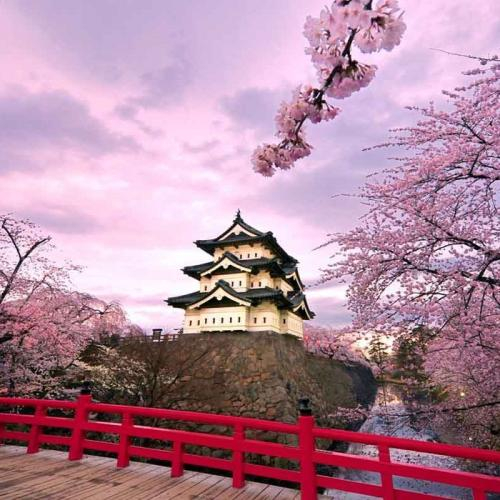 08 Lý Do Du Lịch Nhất Bản