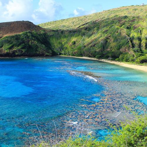 Du Lịch Hawaii Và Những Điều Cần Biết