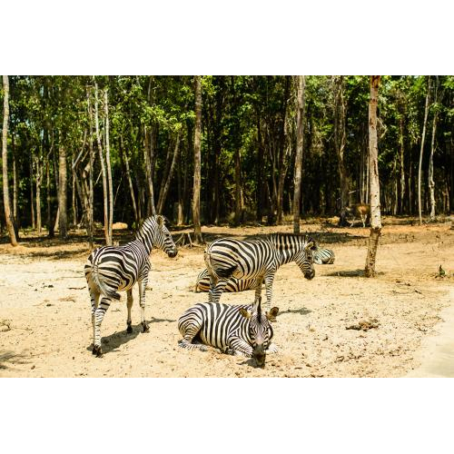 Du Lịch Phú Quốc - Bãi Sao