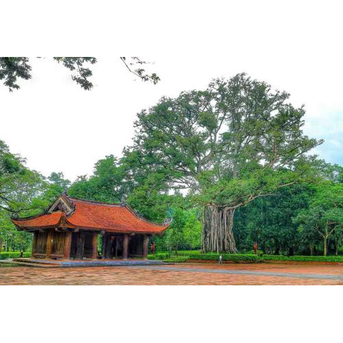 Du Lịch Thanh Hóa - Suối Cá Thần Cẩm Lương - Vườn Thú Safari - Đảo Chè Thanh Chương