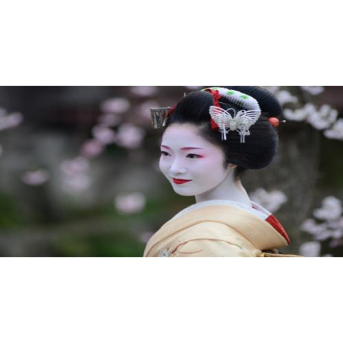 GEISHA ở Nhật bản