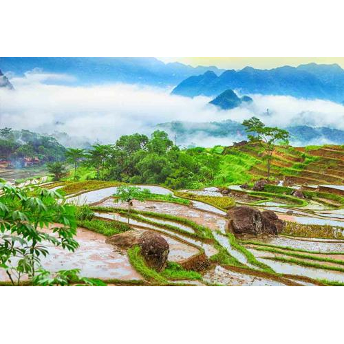 Du Lịch Thanh Hóa - Suối Cá Thần Cẩm Lương - Vườn Thú Safari - Đảo Chè Thanh Chương