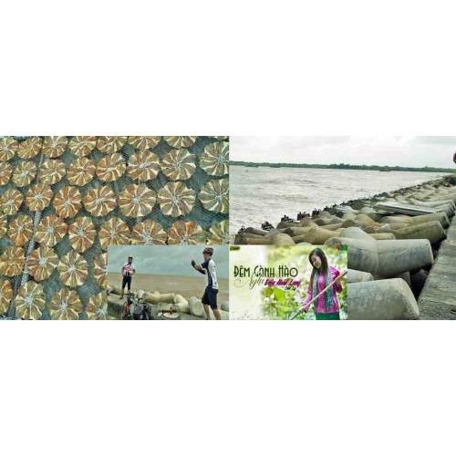 Từ Trần Đề đến Đất Mũi Cà Mau