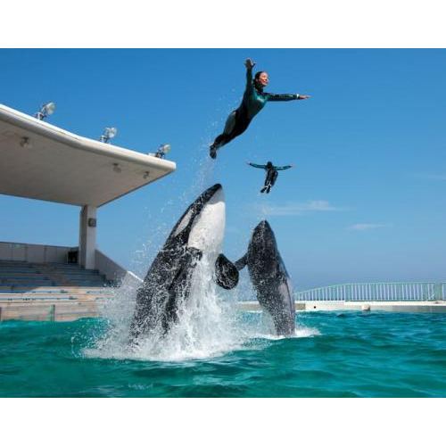 Những Điểm Check-in Quanh Hai Sân Bay Lớn Nhất Nhật Bản