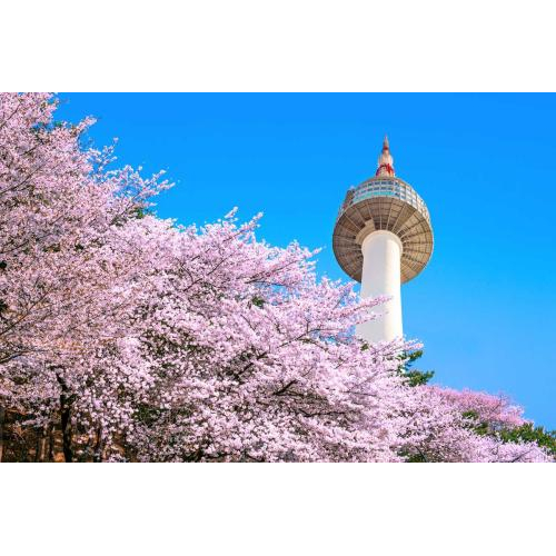 Du Lịch Hàn Quốc Mới : Seoul – Đảo Nami - Everland – Hoàng Cung(4n4đ)