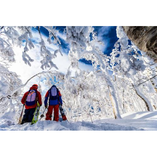 Du Lịch Nhật Bản Trượt Tuyết Fujiten : NARITA – YAMANASHI – TOKYO