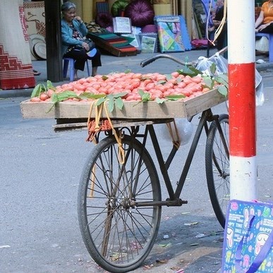 Tháng 4 Hà Nội Và Những Quả Chua Đặc Sản Ngon Ứa Nước Miếng