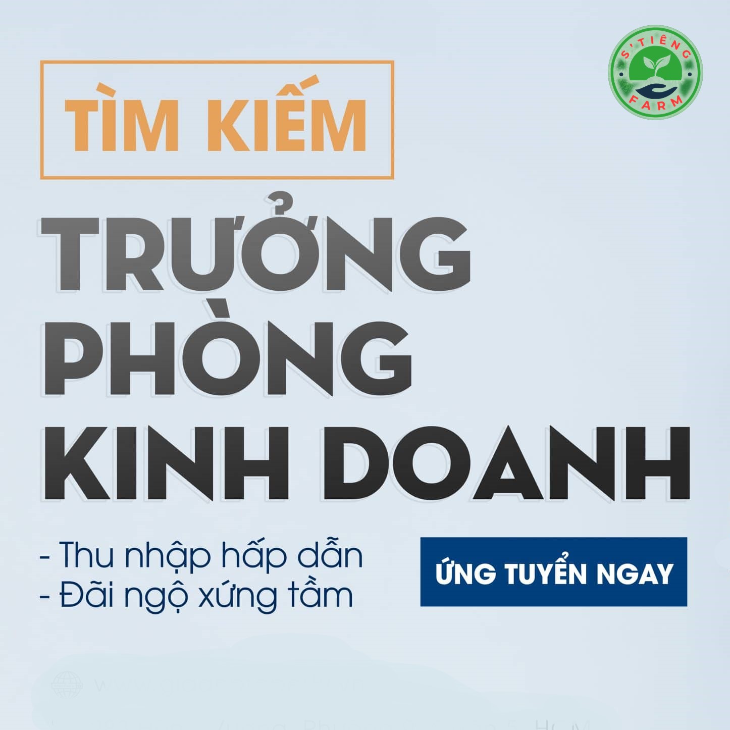 HTX Phước Thiện Tuyển Dụng Trưởng Phòng Kinh Doanh