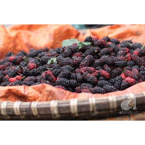 Những món ngon tháng tư