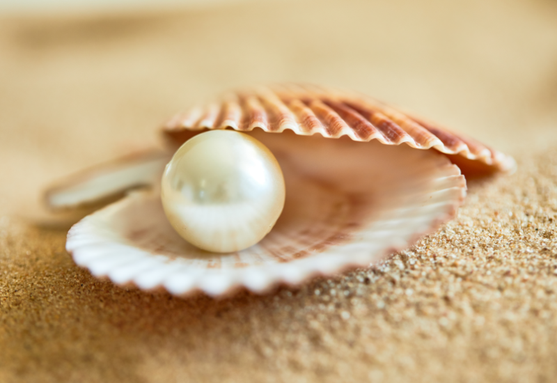 Nguồn gốc và cách hình thành