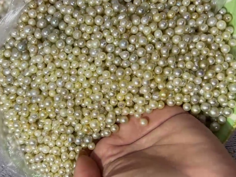 Làm thế nào để so sánh ngọc trai Akoya với các loại ngọc trai khác?