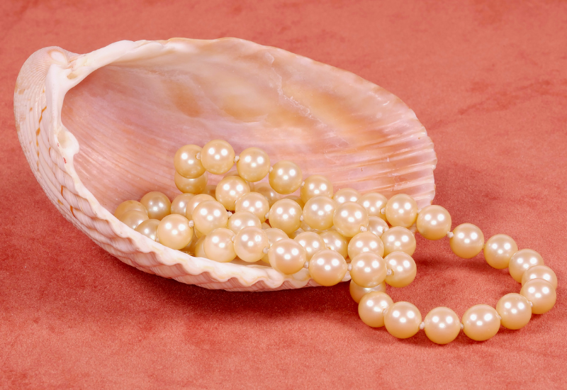 Vậy có nên đeo ngọc trai hằng ngày không?