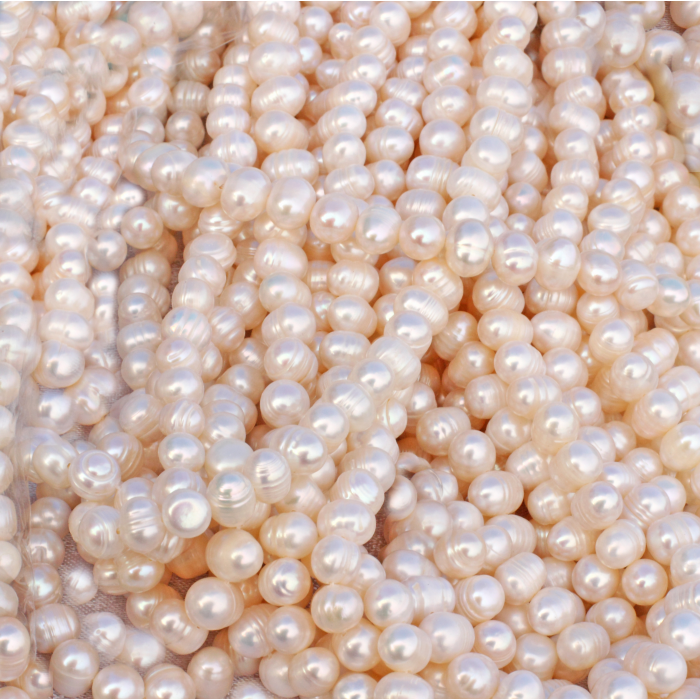 Ngọc Trai Nước Mặn Và Nước Ngọt: Khác Nhau Thế Nào?