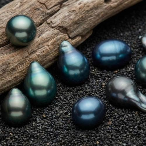 Tìm Hiểu Ngọc Trai Tahiti